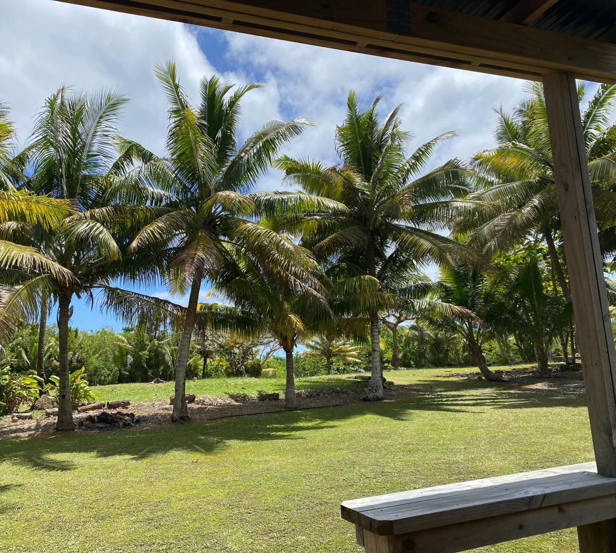 David'S Fale, Alofi, Niue Bagian luar foto